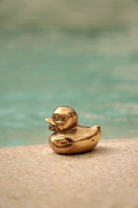 lucky duck / Brass duck from Bali